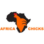 africa-chicks
