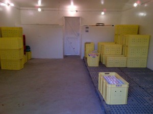 Farm stored eggs under controlled temps 